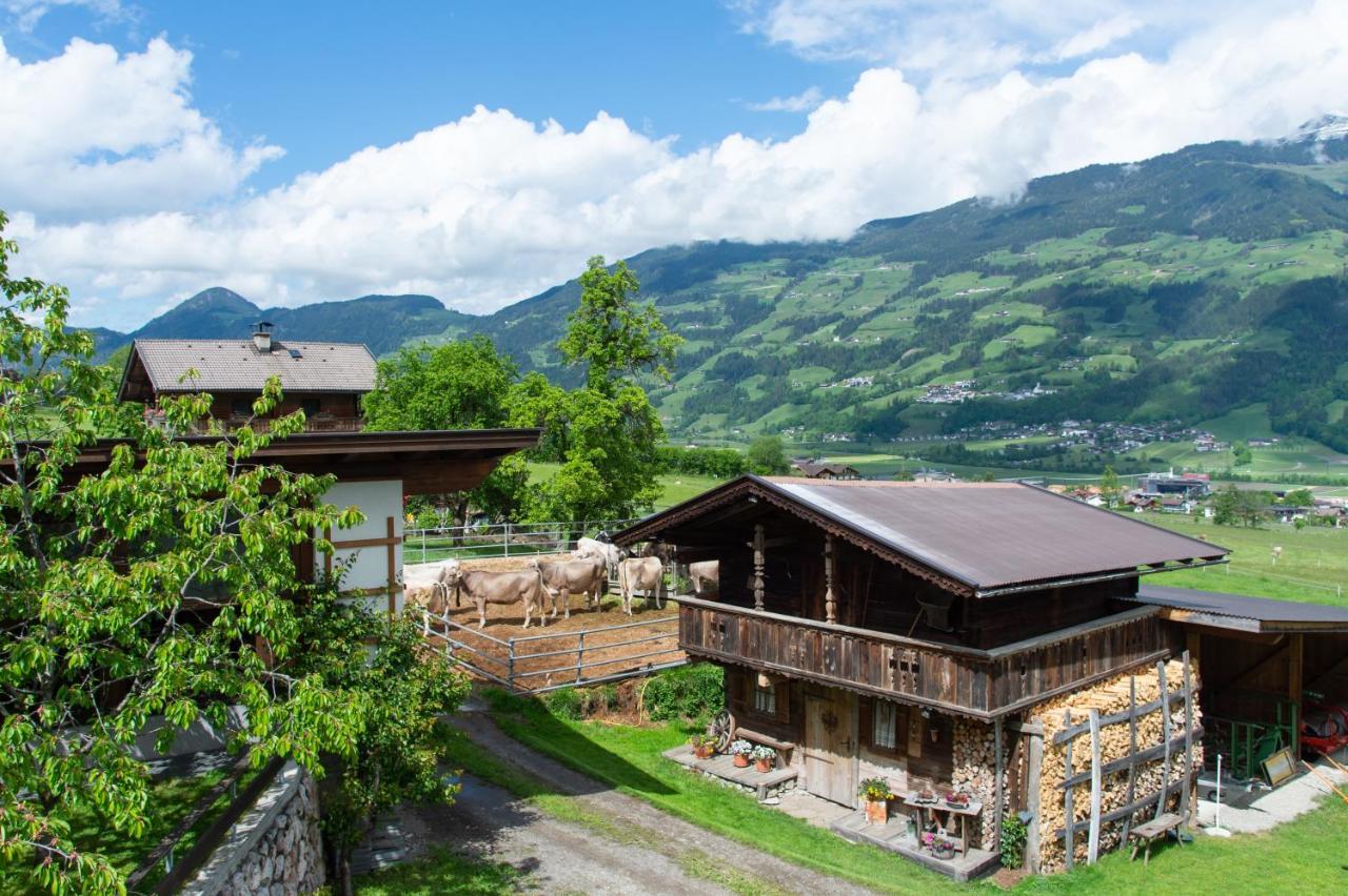 Riemenerhof Villa Fügen Exteriör bild
